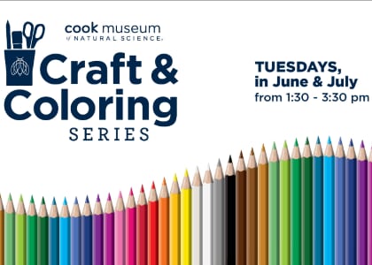Craft & Coloring Series