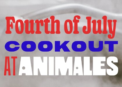 Fourth of July Cookout