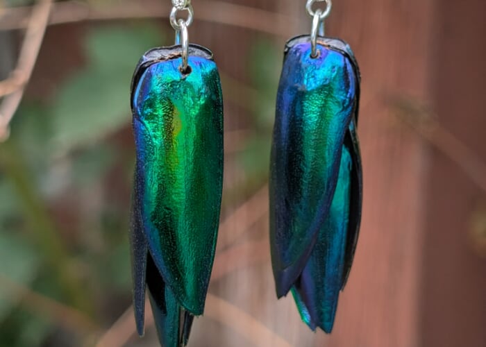 Beetle Boutique: DIY Elytra Earrings