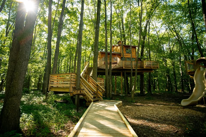 Facility Open House: Cannaley Treehouse Village