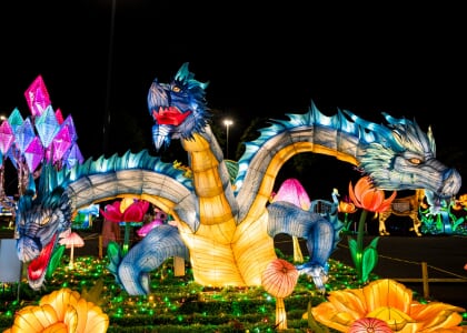 Wild Lights at the Louisville Zoo 2026