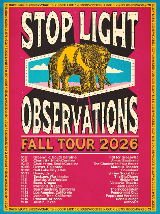 Stop Light Observations