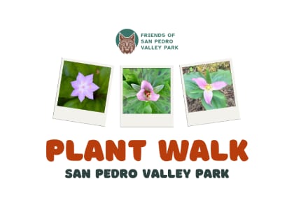 Plant Walk in San Pedro Valley Park - Moderate