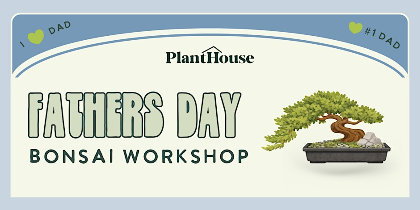Father's Day Bonsai Workshop