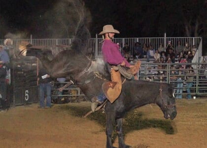 Tampa Bay Rodeo & Family Festival