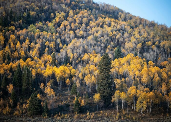 Meet the Ambassadors: Hike on the 910 Ranch