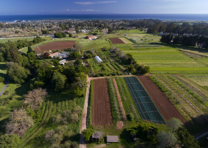Free Guided Tour of the UCSC Farm