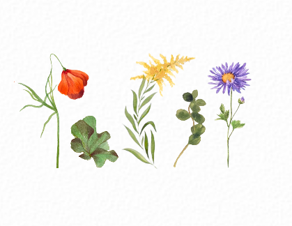 Watercolor Workshop: Fall Florals & Foliage