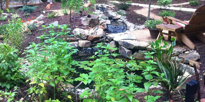 Water Features from Bird Baths to Ponds