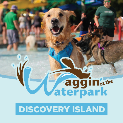 Waggin' at the Waterpark