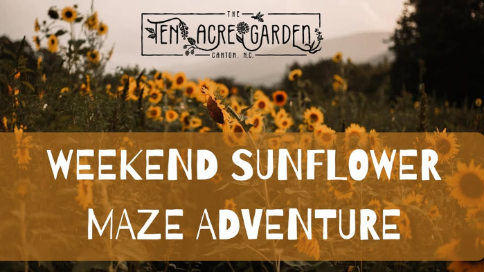 Poster for Weekend Sunflower Maze Adventure