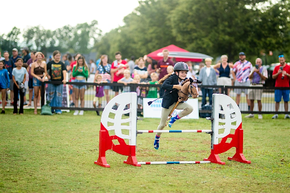 Summer Hobby Horse Competition