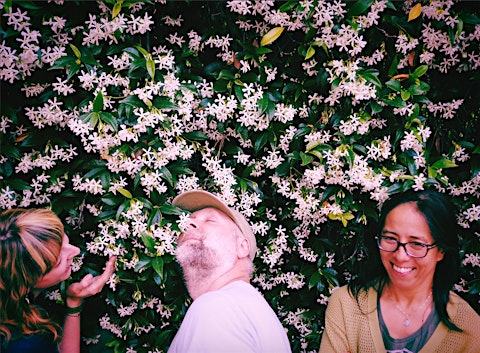 Built to Spill :: Rio Theatre :: Santa Cruz 8/26