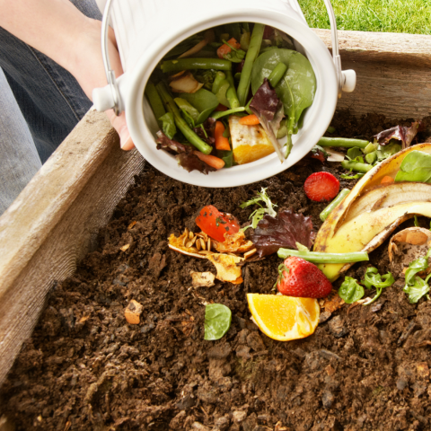 Composting: Nature's After Party...A Bedford Extension Master Gardeners Presentation