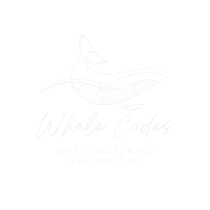 Whale Codes: Meditation & Singing Whale Watching Excursion