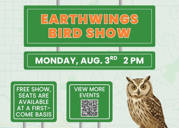Bird Show