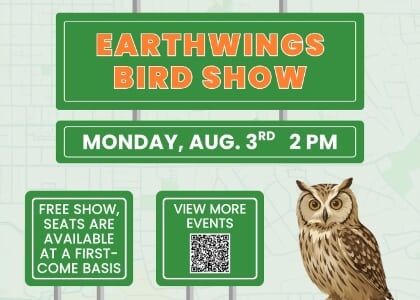Bird Show
