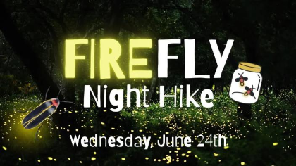 Firefly Night Hike