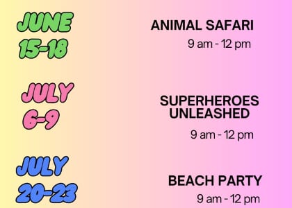 The Ballet and Performing Arts Centre Summer Camp Registration