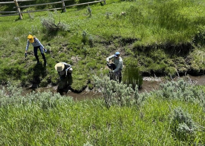 National Public Lands Day: 910 Ranch Restoration