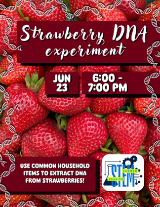 Strawberry DNA Experiment