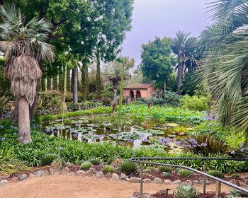 Austin Herb Society July Meeting: "Oh, the Places We Go!"