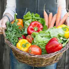 October in the Vegetable Garden