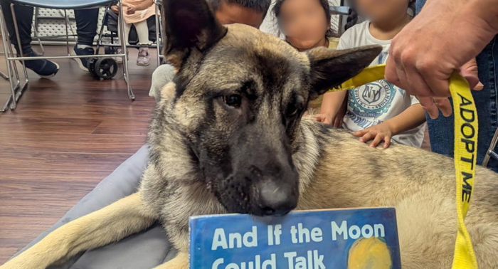 Paws to Read Program at the Carmel Valley Branch