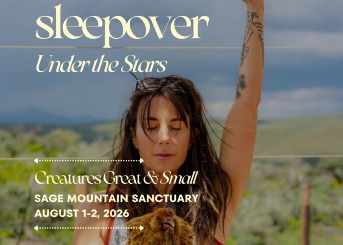Sleepover Under The Stars: "Creatures Great & Small"