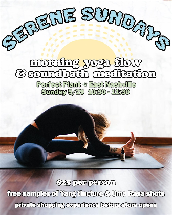 Serene Sundays: Movement and Meditation