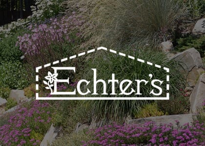 Xeriscape Your Garden with Plant Select