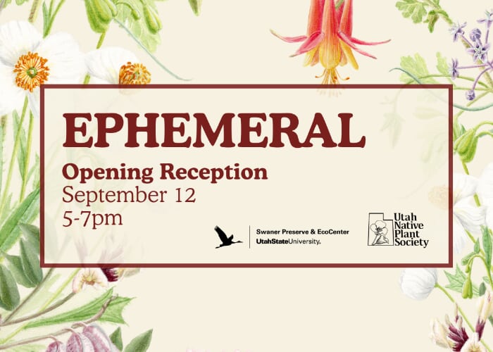 "Ephemeral" Art Exhibit Opening