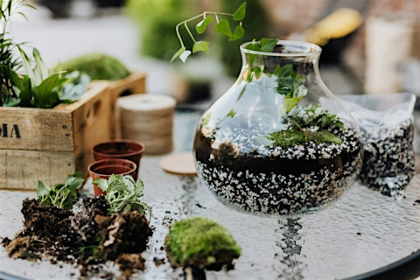 Terrarium Building Workshop in Carrboro