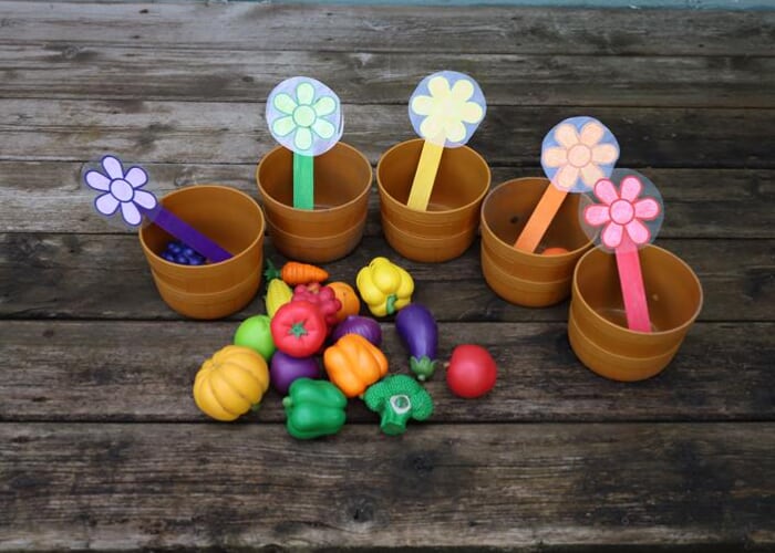 Little Sprouts - Fabulous Flowers
