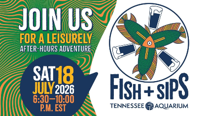 Fish & Sips