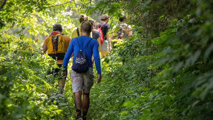 Naturalist Walk and Talk - Dragonflies and Damselflies