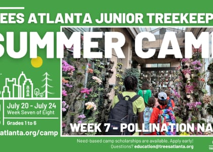 Junior TreeKeeper Summer Camp 2026 - Pollination Nation
