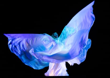 ADF Presents: Paul Taylor Dance Company