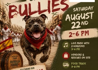 The Running of the Bullies