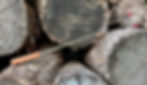 Campfire Roasting Sticks