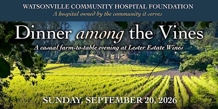 Dinner Among the Vines