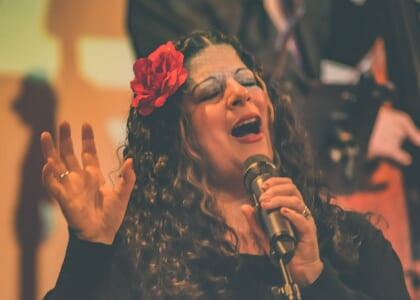 Summer Music Series - Elana Lisa & The Hot Mess