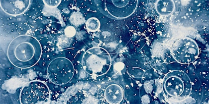 Celebrate Summer Solstice with Sunprints