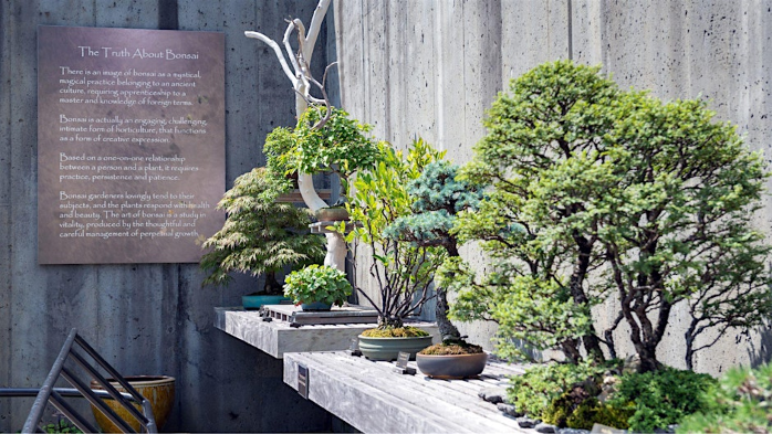 Poster for Bonsai Exhibit Talk & Tour with Arthur Joura
