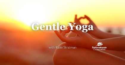 Gentle Yoga with Katie Stratman