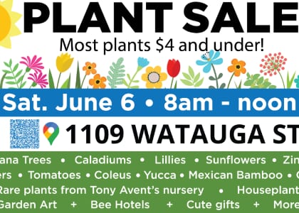 Fun & Unique Plant Sale - One Day Only