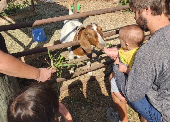 Flyer or photo for Farmily Fun Group