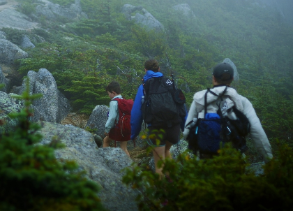 Summer Film Series: Beyond the Tree Line