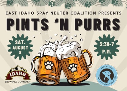 Pints 'N Purrs