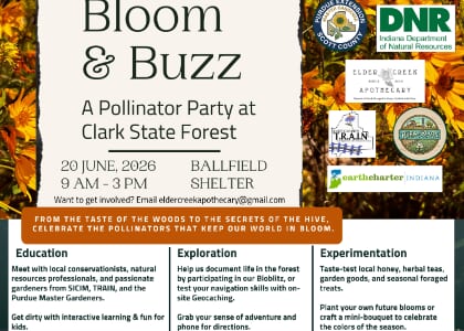 Bloom and Buzz: A Pollinator Party